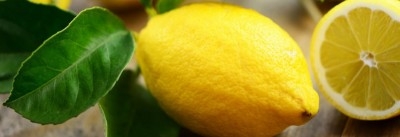 Tajine de poulet au citron confit